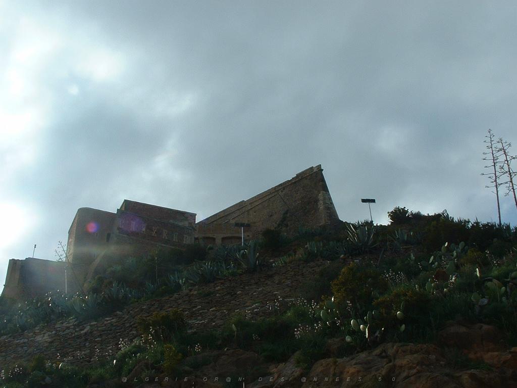 ORAN SANTA CRUZ (121).jpg